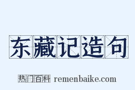 东藏记造句是什么意思的图片